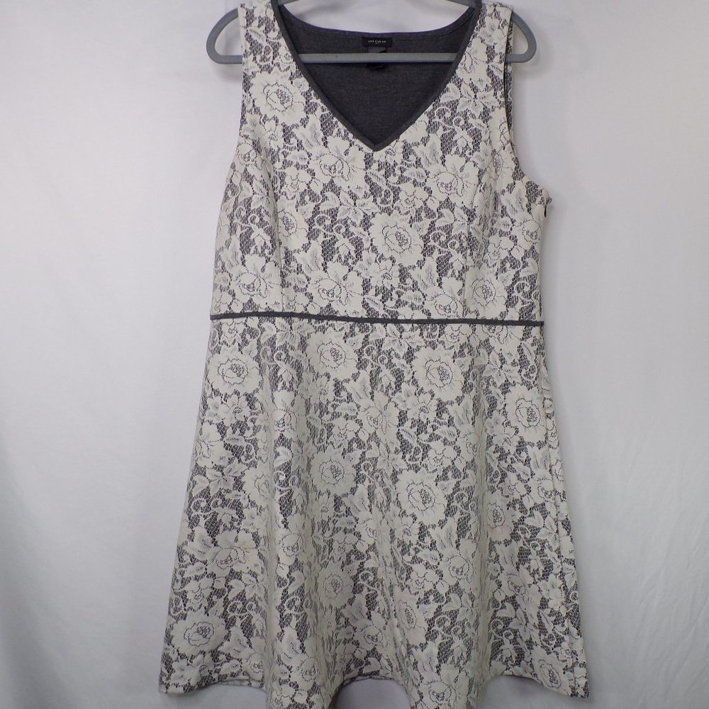 *Ann Taylor Casual Lace A-Line Dress, Sz 16
